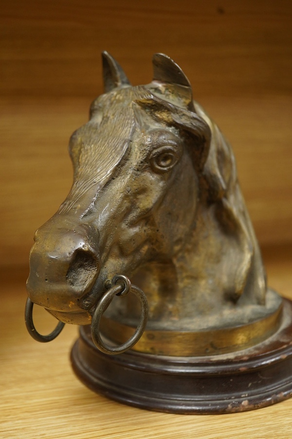A mid 20th century mounted bronze model of a horse's head, 22cm. Condition - fair to good